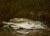 Eugène BOUDIN (1824-1898), Nature morte aux poissons, 1873, huile sur toile, 79 x 110 cm. © MuMa Le Havre / Florian Kleinefenn