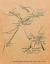 Carte des voyages de Reynold Arnould entre 1956 et 1958. Illustration extraite du catalogue de l’exposition Forces et rythmes de l’industrie au musée des Arts décoratifs,16 octobre-29 novembre 1959