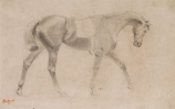 Edgar DEGAS (1834-1917), Saddle Horse, ca. 1862, graphite on tracing paper, 17.8 x 28.1 cm. © MuMa Le Havre / Florian Kleinefenn