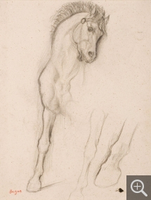 Edgar DEGAS (1834-1917), Horse. Study for Alexander and Bucephalus, 1859-1861, black pencil, 31.25 x 22.75 cm. Senn-Foulds collection. © MuMa Le Havre / Florian Kleinefenn