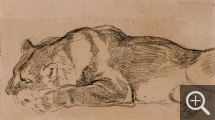 Charles Edmé SAINT-MARCEL-CABIN (1819-1890), Étude de lion. Collection Senn-Foulds. © MuMa Le Havre / Florian Kleinefenn