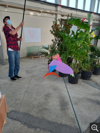 Atelier lors de la manifestation havraise "La Fête de la Mer"