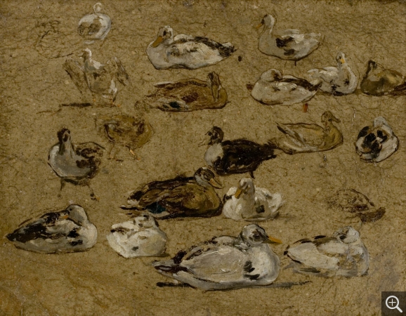 Eugène BOUDIN (1824-1898), Canards, ca. 1853-1859, huile sur bois, 24 x 31,3 cm. © MuMa Le Havre / Florian Kleinefenn