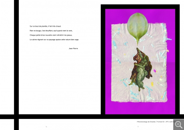 Photomontage de Chantal / Format A3 - 297 x 420 mm