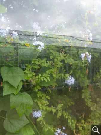Couronne végétale par Annie