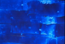 Ça coule de partout !!