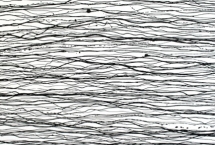 L'atelier des 40èmes