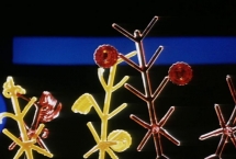 Le chant du Styrène