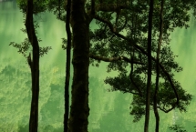 Rêver un paysage, recréer un paysage