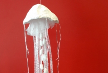 En flottaison dans mon salon
