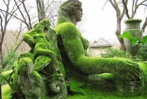 L'art dans la nature ou la nature comme œuvre d'art