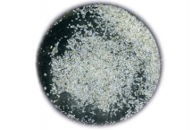 Trésors de la plage