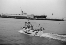 Programmation fin 2015