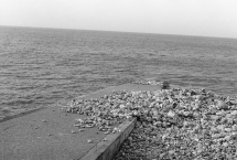 Ensemble, regardons la mer …