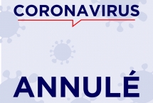 Ton portrait dessiné - ANNULÉ