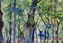 Journées de l'arbre