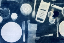 Atelier du MuMa des vacances d'été - Atelier cyanotype