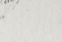 Tu rêves, Herbert !