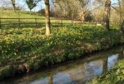 Rendez-vous au jardin [ ANNULÉ ]