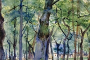 Journées de l'arbre