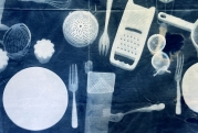 Atelier du MuMa des vacances d'été - Atelier cyanotype
