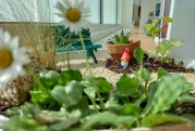 Pocket garden