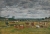 Eugène BOUDIN (1824-1898), Landscape with Cows, ca. 1880-1888, oil on board, 20 x 33 cm. © MuMa Le Havre / David Fogel Eugène BOUDIN (1824-1898), Landscape with Cows, ca. 1880-1888, oil on board, 20 x 33 cm. © MuMa Le Havre / David Fogel