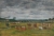 Eugène BOUDIN (1824-1898), Landscape with Cows, ca. 1880-1888, oil on board, 20 x 33 cm. © MuMa Le Havre / David Fogel