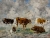 Eugène BOUDIN (1824-1898), Cinq vaches dans un pré, ciel orageux, ca. 1881-1888, huile sur toile, 43,3 x 58,4 cm. © MuMa Le Havre / Florian Kleinefenn