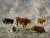 Eugène BOUDIN (1824-1898), Cinq vaches dans un pré, ciel orageux, ca. 1881-1888, huile sur toile, 43,3 x 58,4 cm. © MuMa Le Havre / Florian Kleinefenn