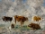 Eugène BOUDIN (1824-1898), Studies of Cows, ca. 1881-1888, oil on canvas, 43.3 x 58.4 cm. © MuMa Le Havre / Florian Kleinefenn