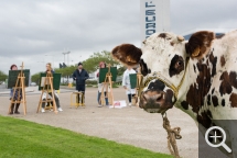 . © Karolina Samborska