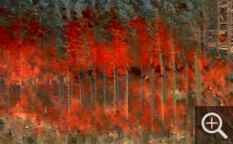 Jacques Perconte, Ettrick, 2015. © Jacques Perconte - dist. Light Cone