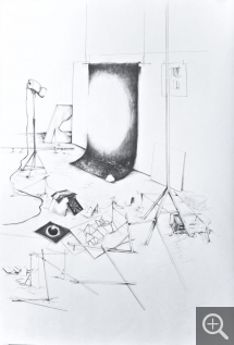 David COSTE, Le laboratoire des prophéties, dessin n°36, 2013, diptyque, 110 x 75 cm. Frac Haute-Normandie