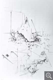 David COSTE, Le laboratoire des prophéties, dessin n°36, 2013, diptyque, 110 x 75 cm. Frac Haute-Normandie