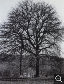 Péter NÁDAS (1942), Im Herbst Die Blüten Springen Auf, 1992, photographie argentique, 23,5 x 18,5 cm. © Berlin, galerie Kicken / Péter Nádas