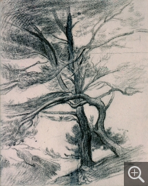 Henri Edmond CROSS (1856-1910), Landscape with Two Pines. Study for Le Cap Layet (Provence), charcoal. Senn-Foulds collection. © MuMa Le Havre / Florian Kleinefenn