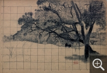 Henri Edmond CROSS (1856-1910), Study of Pines, black chalk. Senn-Foulds collection. © MuMa Le Havre / Florian Kleinefenn
