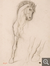 Edgar DEGAS (1834-1917), Cheval. Etude pour Alexandre et Bucéphale, 1859-1861, crayon noir, 31,25 x 22,75 cm. Collection Senn-Foulds. © MuMa Le Havre / Florian Kleinefenn