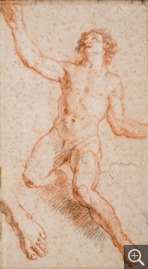 Charles DE LA FOSSE (1636-1716), Étude pour Saint Jean l'Évangéliste, sanguine rehaussée de pierre noire, traces de craie blanche, 41,7 x 23 cm. © MuMa Le Havre / Florian Kleinefenn