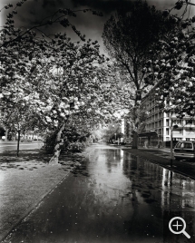 Olivier MÉRIEL (1955), Allée en fleurs, 2005, photographie. © MuMa Le Havre / Olivier Mériel