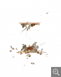 Claire TROTIGNON, Modern Dolmen #6, 2022, collage avec gravures anciennes, 40 x 50 cm. collection particulière ©Claire Trotignon / Courtoisie Galerie 8+4 ©ADAGP