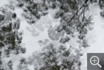 Eric BOURRET, Primary Forest. Madère, 2016, tirage jet d’encre sur papier mat, 140 x 210 cm. collection de l’artiste© Eric Bourret