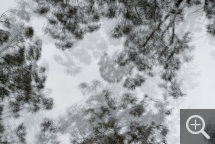 Eric BOURRET, Primary Forest. Madère, 2016, tirage jet d’encre sur papier mat, 140 x 210 cm. collection de l’artiste© Eric Bourret Eric BOURRET, Primary Forest. Madère, 2016, tirage jet d’encre sur papier mat, 140 x 210 cm. collection de l’artiste© Eric Bourret