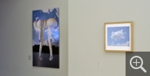 Partial view of the “Les nuages… Là-bas… Les merveilleux nuages” exhibition Franck and Olivier Turpin, Magic 2, 2006 (left) - Michel Kempf, Metaphor 1, 2005 (right). © MuMa Le Havre / Christian Le Guen