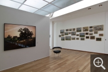 Vue partielle de l'exposition « Les Territoires du désir ». A gauche, Bestiaire, Grand Paysage III, photographie de Jean-Luc Tartarin en regard du mur des Vaches d’Eugène Boudin, à droite. © MuMa Le Havre / Charles Maslard