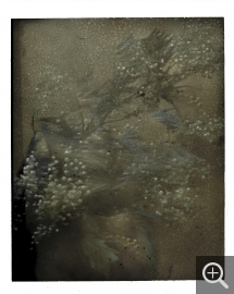 Sarah MOON, Les Mimosas, 2021, , 74 x 57 cm. ©Sarah Moon / Courtoisie Galerie Camera Obscura ©ADAGP
