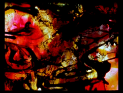 Lovesong (Stan Brakhage, 2001, pellicule peinte)