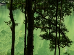 Manuela MARQUES (1959), Point de fuite (détail), 2019, impression numérique sur papier baryté, 165 x 110 cm. © ADAGP, Paris 2022