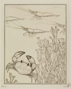 Jean-Emile LABOUREUR (1877-1943), Les crevettes, 1934, Gravure au burin, 18,5 x 14,3 cm. © Musée d'Arts de Nantes